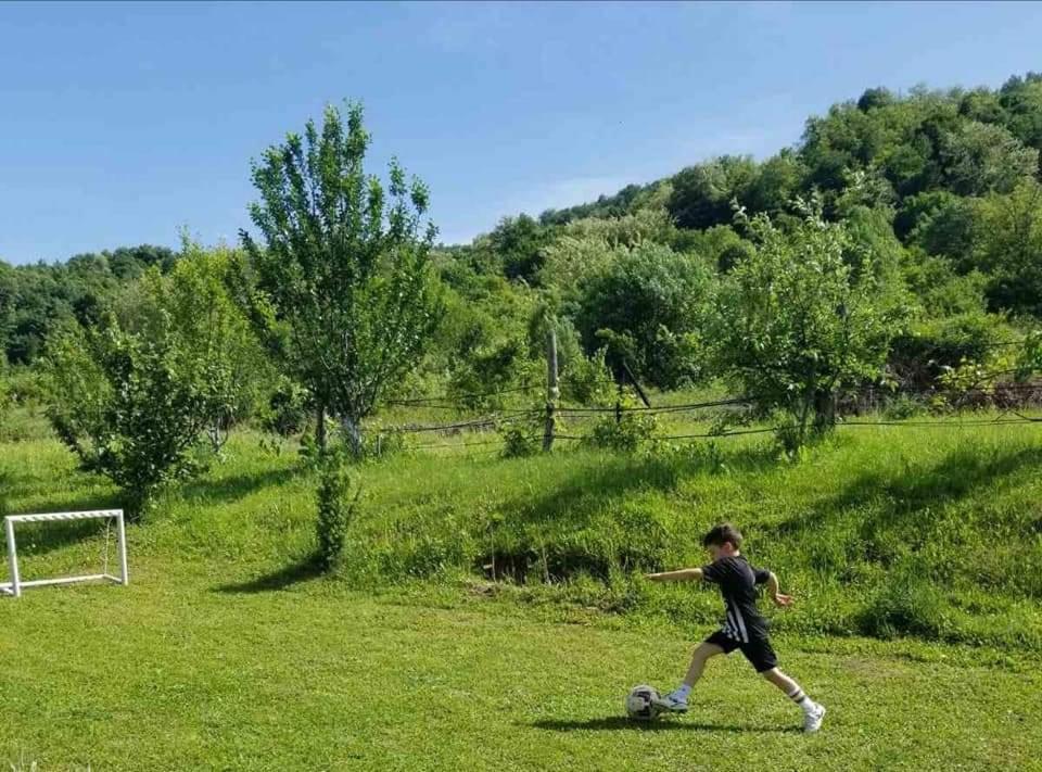 Zelinjski Vidikovac Villa Zvornik Exteriör bild